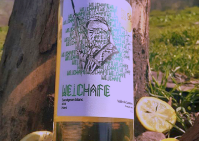 “Viñas Emergentes”