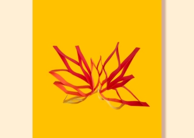 “Paradero de Micro”